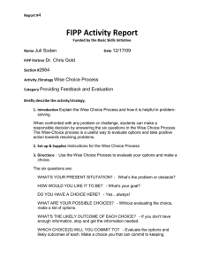 FIPP Activity Report 4 Juli Soden 12/17/09