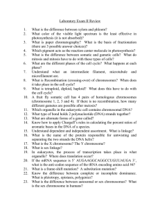 Laboratory Exam II Review.doc
