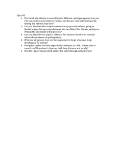 Quiz #9