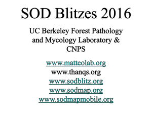 Download (SODBLITZ2016Finalv2.pptx, 8.62MB)