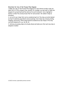 Directions for Use of the Process Flow Diagram