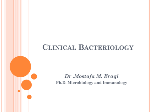 clinical bacteriology