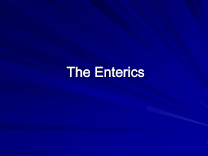 The Enterics
