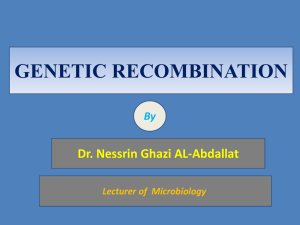 GENETIC RECOMBINATION Dr. Nessrin Ghazi AL-Abdallat By Lecturer of  Microbiology