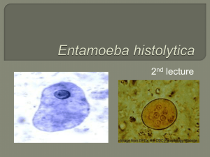 Parasitology 2nd lecture