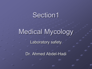 Section1 Medical Mycology Laboratory safety Dr. Ahmed Abdel-Hadi