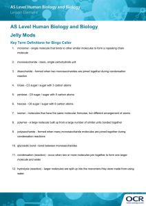 Jelly Mods activity - Key terms for the bingo caller (DOC, 882KB)