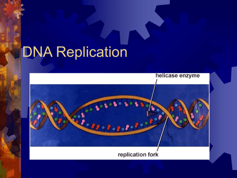 Dna Replicationppt