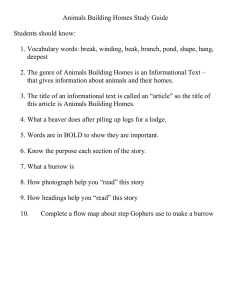 Animals Building Homes Study Guide
