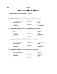 Macromolecules Worksheet: Biology Review