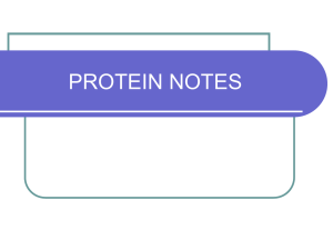 PROTEIN NOTES 2011