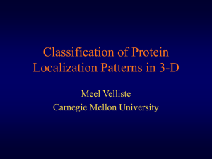 Classification of subcellular localization patterns in 3D - Meel Velliste