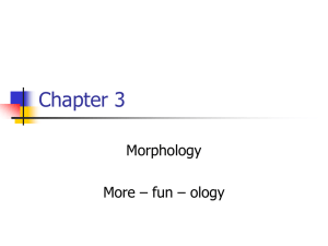 Chapter 3 Morphology More – fun – ology