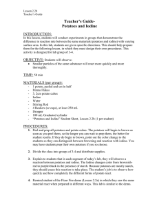 Lesson2.2b- Teacher’s Guide Potato Reactions.docx