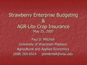 Strawberry Enterprise Budgeting (May 2007)