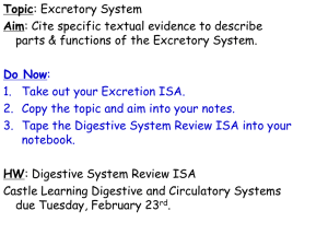 Excretory System