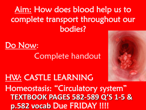 Circulatory System - blood