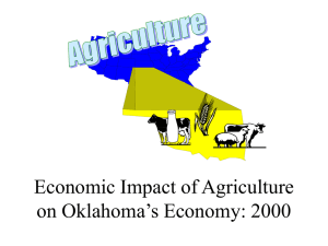 Economic Impact of Agriculture on Oklahoma s Economy: 2000