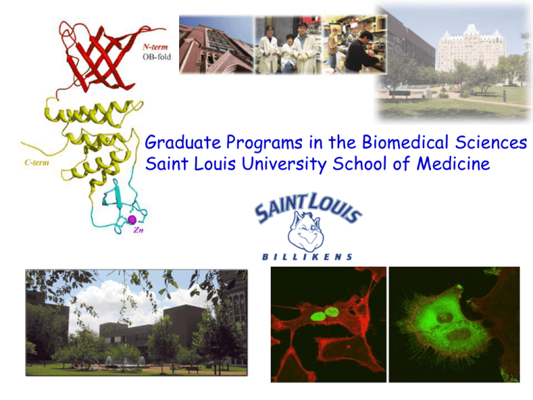 Graduate Program In Biomedical Sciences   015460527 1 51e96f970a43b2b965047057fd7fceff 768x994 