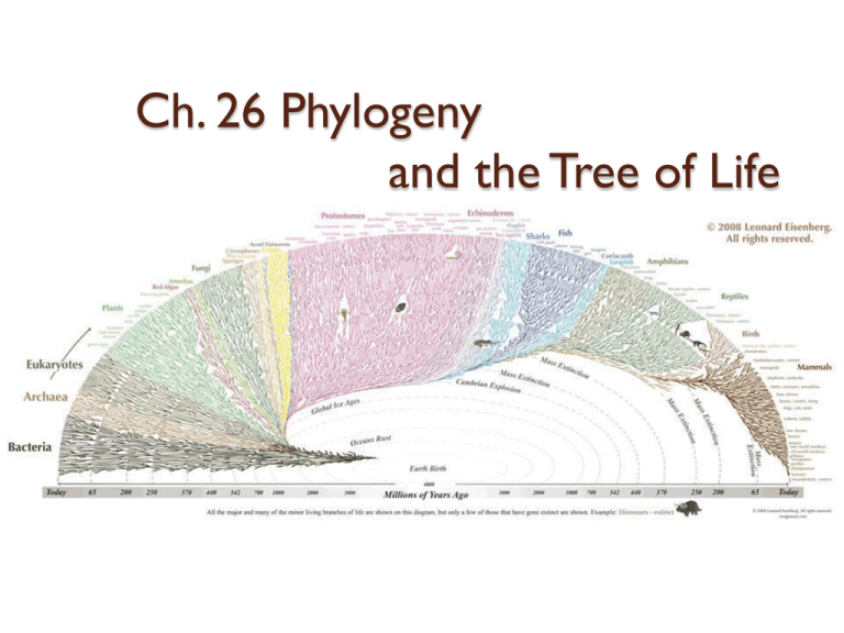 Phylogeny & Tree of Life: Evolutionary Biology Presentation