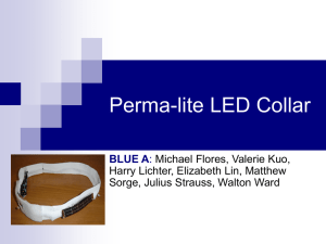 Perma-lite LED Collar BLUE A Michael Flores, Valerie Kuo,