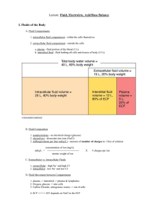 Chapter 26 - Fluid and Electrolyte Balance