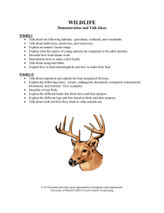 WILDLIFE Demonstration and Talk Ideas