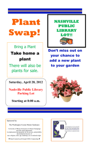 Plant Swap!  Take home a