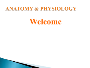 1. Anatomy Introduction PPT