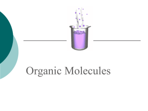 8. Carbs PPT