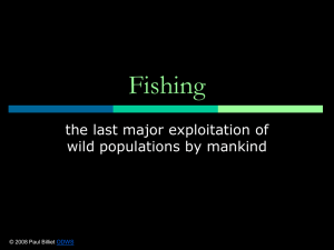 Powerpoint Presentation: Fishing