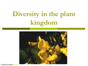 Powerpoint Presentation: Plant Diversity