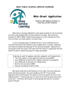 Mini-grant Application