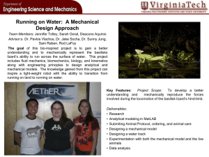 Running on Water:  A Mechanical Design Approach Project Image Here