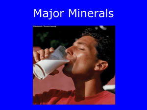 Major Minerals