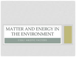 MATTER AND ENERGY IN THE ENVIRONMENT