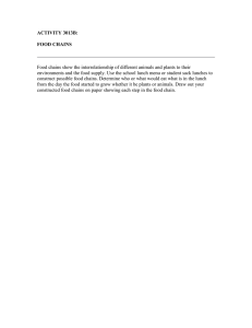 ACTIVITY 3013B: FOOD CHAINS