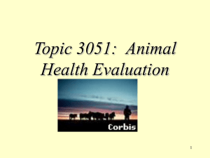 Topic 3051:  Animal Health Evaluation 1