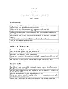 HANDOUT  TERMS: JUDGING THE PERFORMANCE HORSE Tracey Hoffman