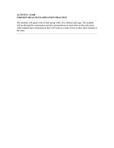ACTIVITY: 3134B CHICKEN HEALTH EXAMINATION PRACTICE