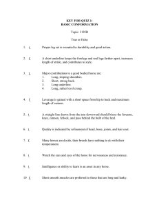 KEY FOR QUIZ 1: BASIC CONFORMATION  Topic: 3185B