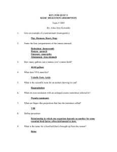 KEY FOR QUIZ 3: BASIC DIGESTION/ABSORPTION Pigs, Humans, Bears, Dogs Topic # 3045