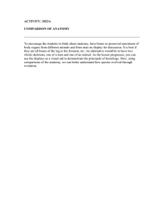 ACTIVITY: 3023A COMPARISON OF ANATOMY