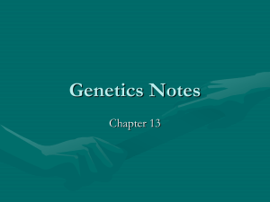 Genetics Notes Chapter 13