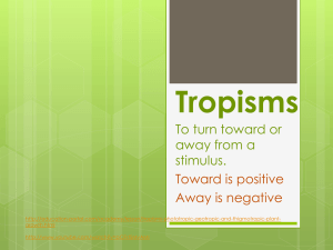 Tropisms To turn toward or away from a stimulus.