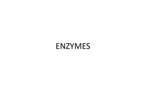 ENZYMES