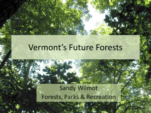 Vermont’s Future Forests Sandy Wilmot Forests, Parks &amp; Recreation