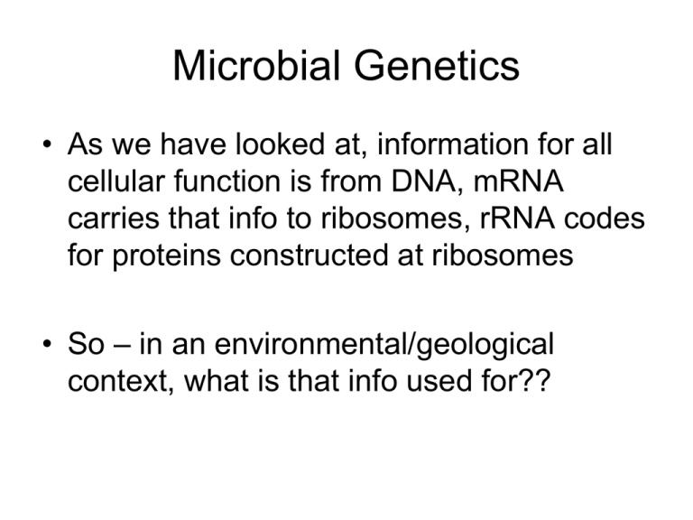 write an essay on current status of microbial genetics