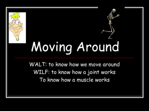 Moving Around WALT: to know how we move around