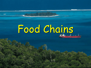Food Chains